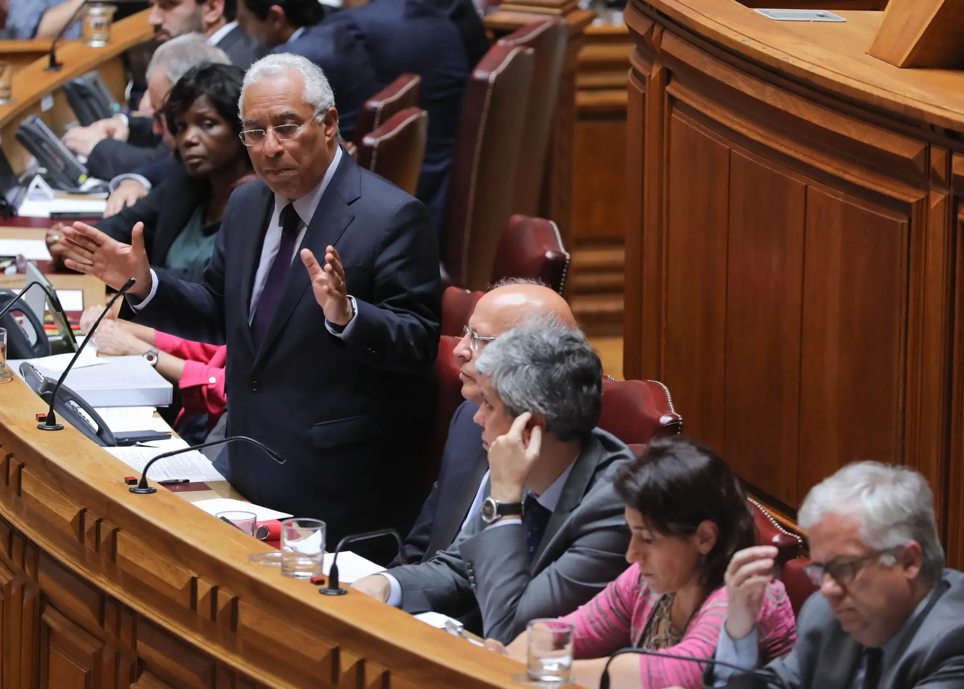 Costa pede consenso para impor reordenamento florestal e travar eucalipto