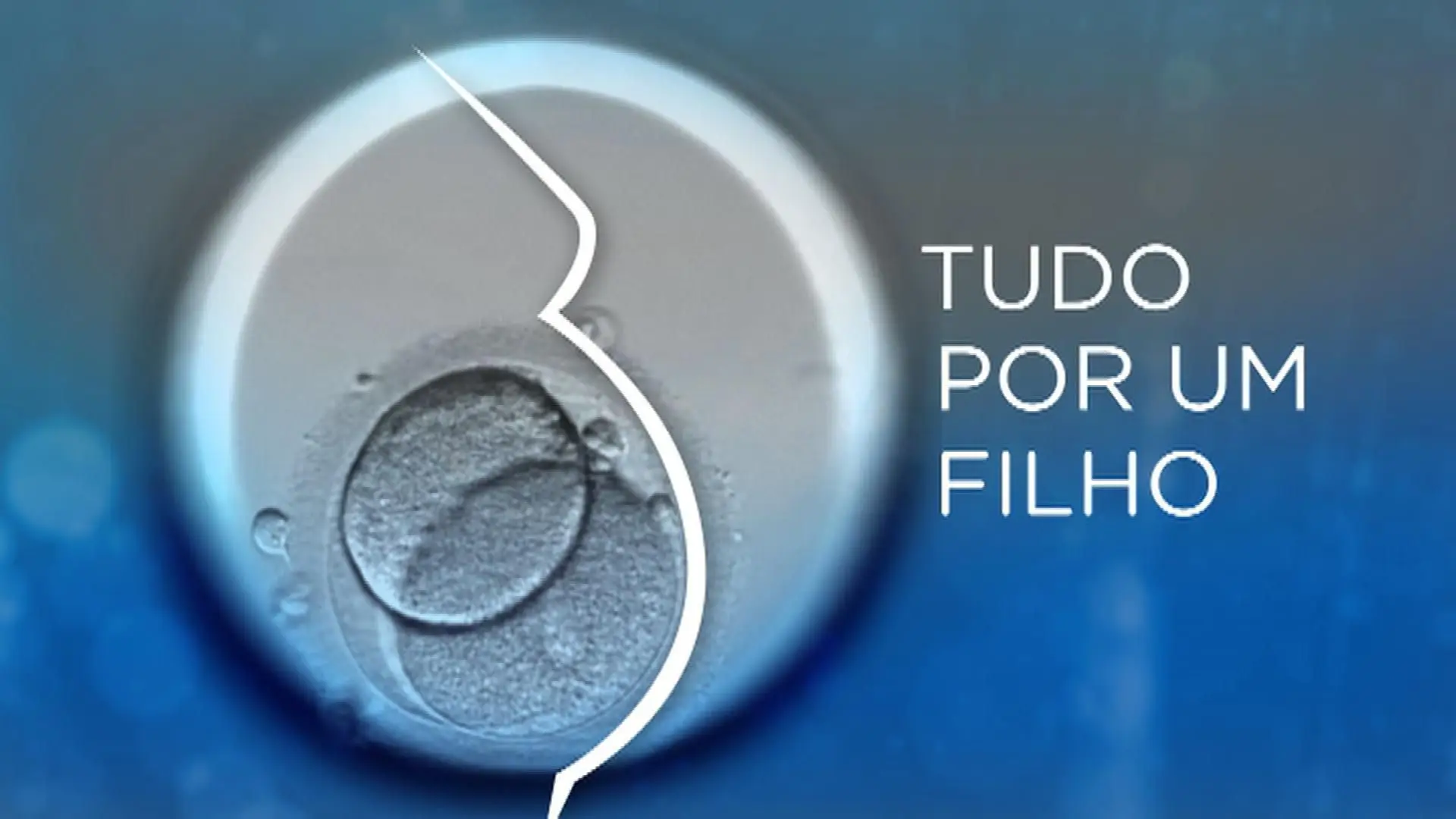 A Grande Reportagem "Tudo por um Filho" percorre o mundo de algumas das milhares de  famílias inférteis que contam com ajuda da medicina e da ciência e não desistem da maternidade, seja no Serviço Nacional de Saúde ou nos centros de reprodução privados.