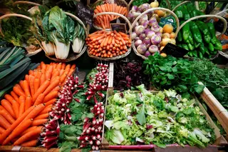 Produtores de Agricultura Biológica pedem investigação à ASAE