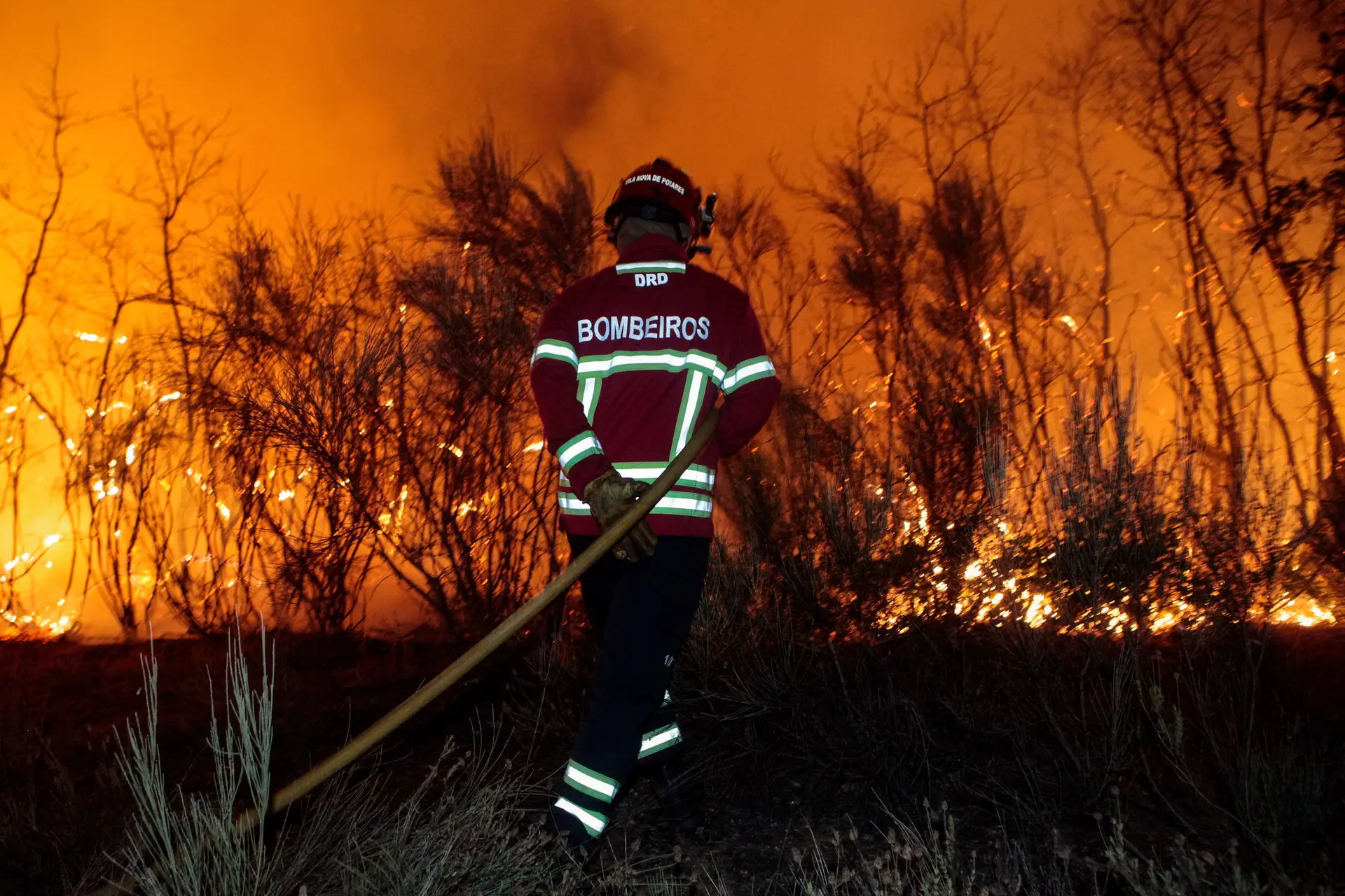 Fogo em Vila Nova de Foz Côa mobiliza mais de 200 operacionais