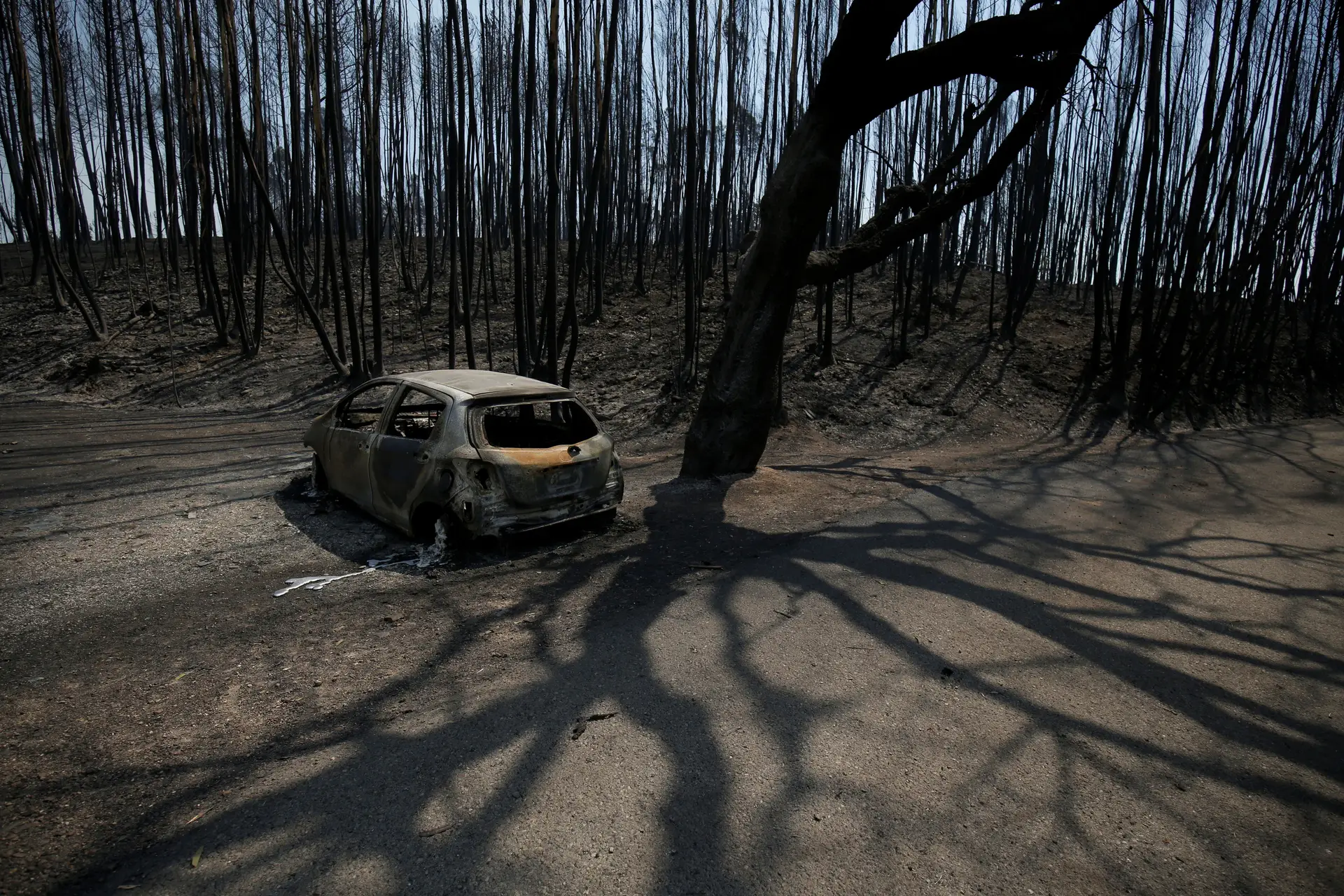 MP instaura inquérito para apurar circunstâncias da morte de mais uma vítima