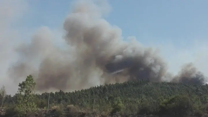 Incêndio em Gavião mobiliza quase 200 operacionais