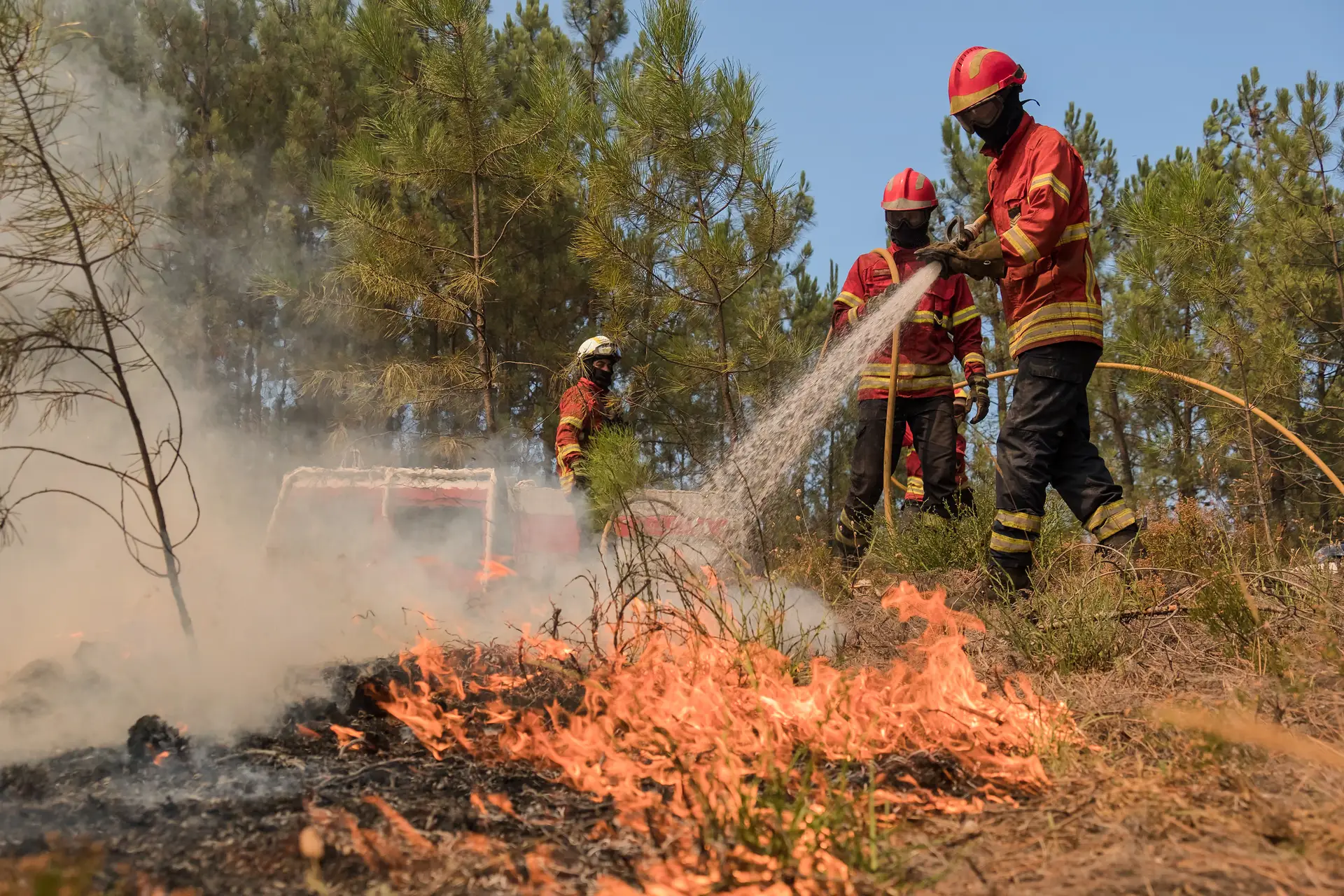 Número de detidos por suspeitas de fogo posto sobe para 61