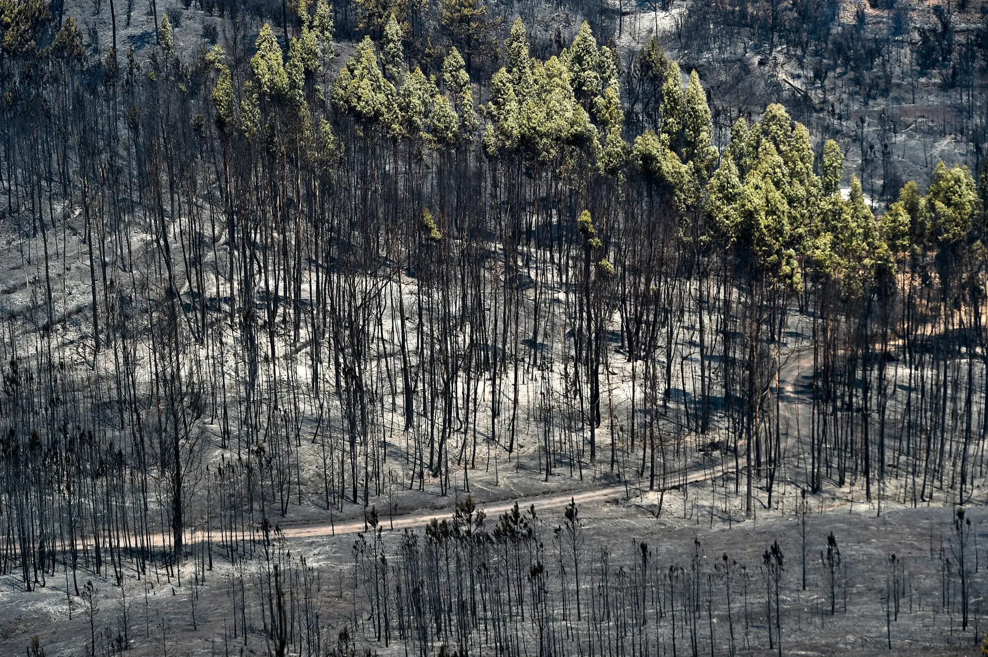 Habitantes de Mação retirados das aldeias regressam a casa