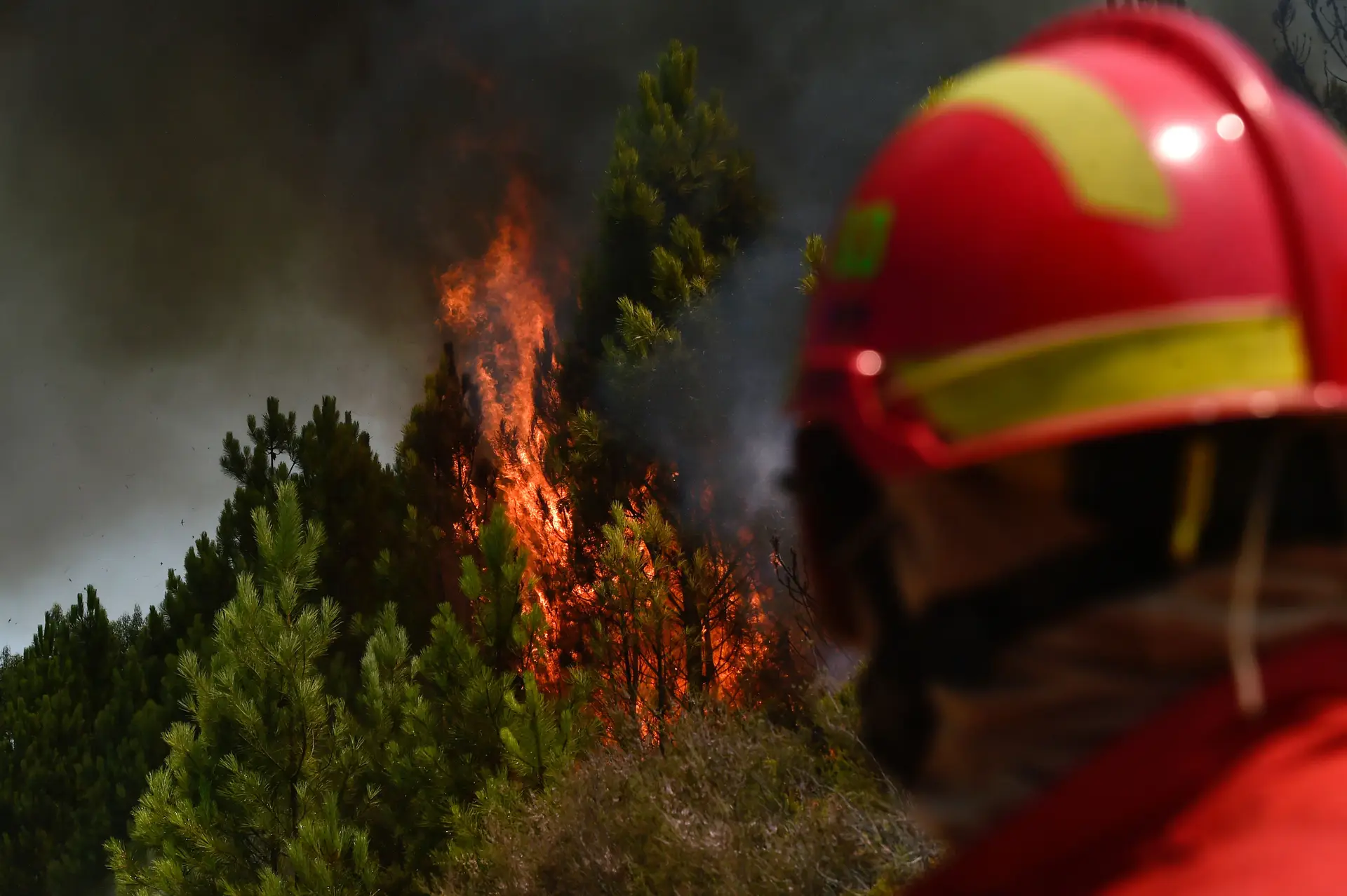 Fogo nas Serras de Aire e Candeeiros "progride com grande intensidade"