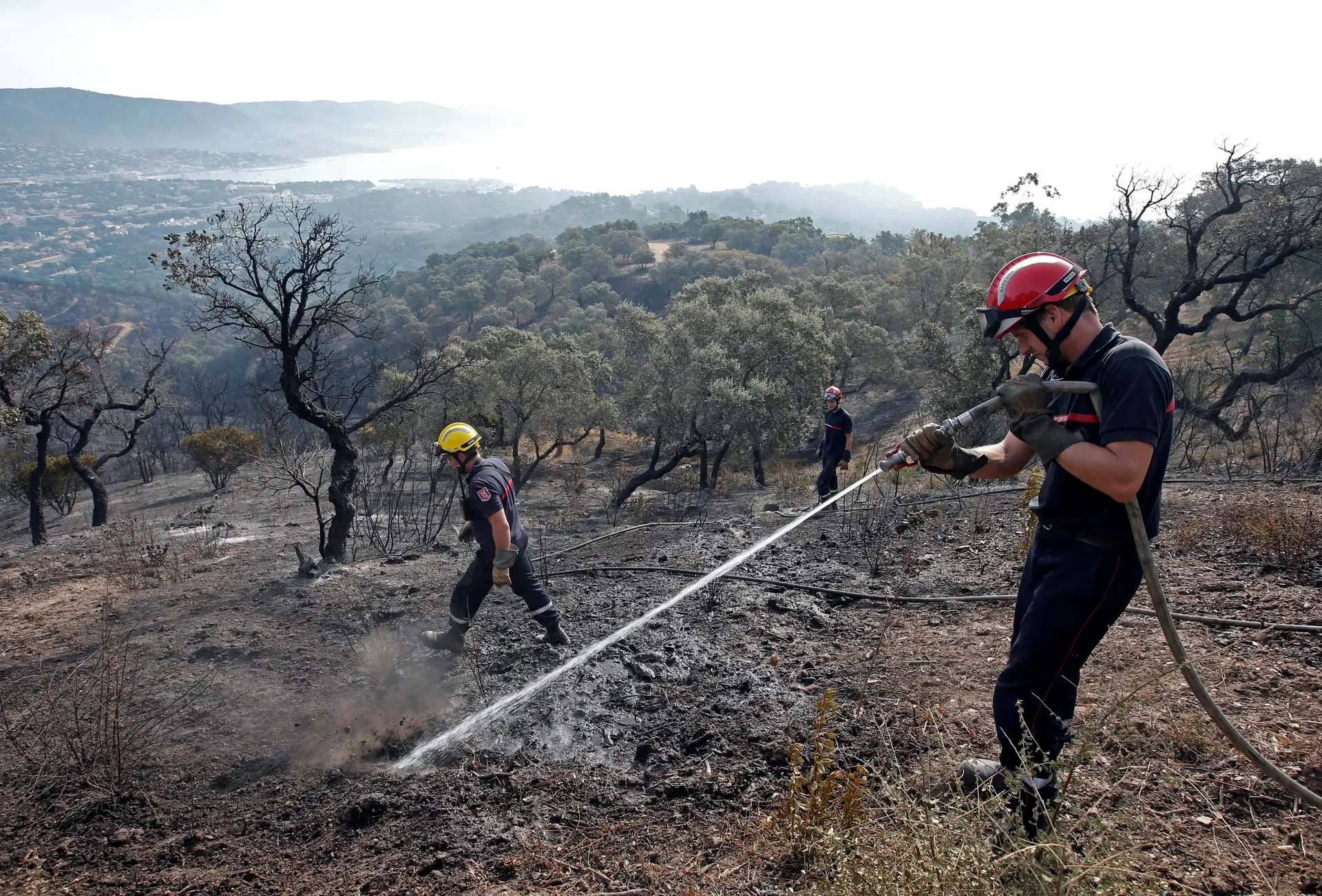 Incêndios no sul de França em fase de rescaldo