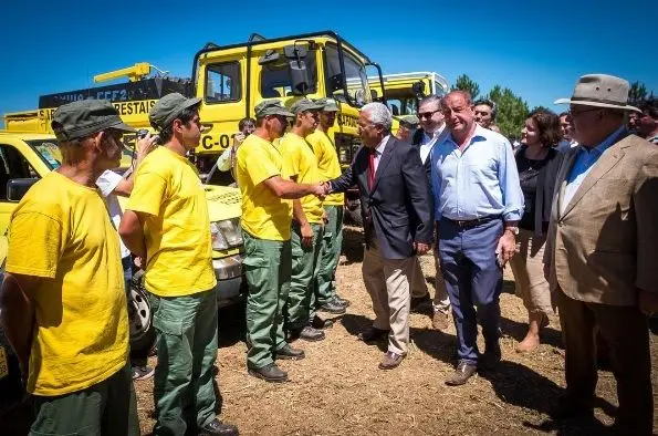 Governo "vai mesmo avançar" com cadastro florestal e investir nos sapadores