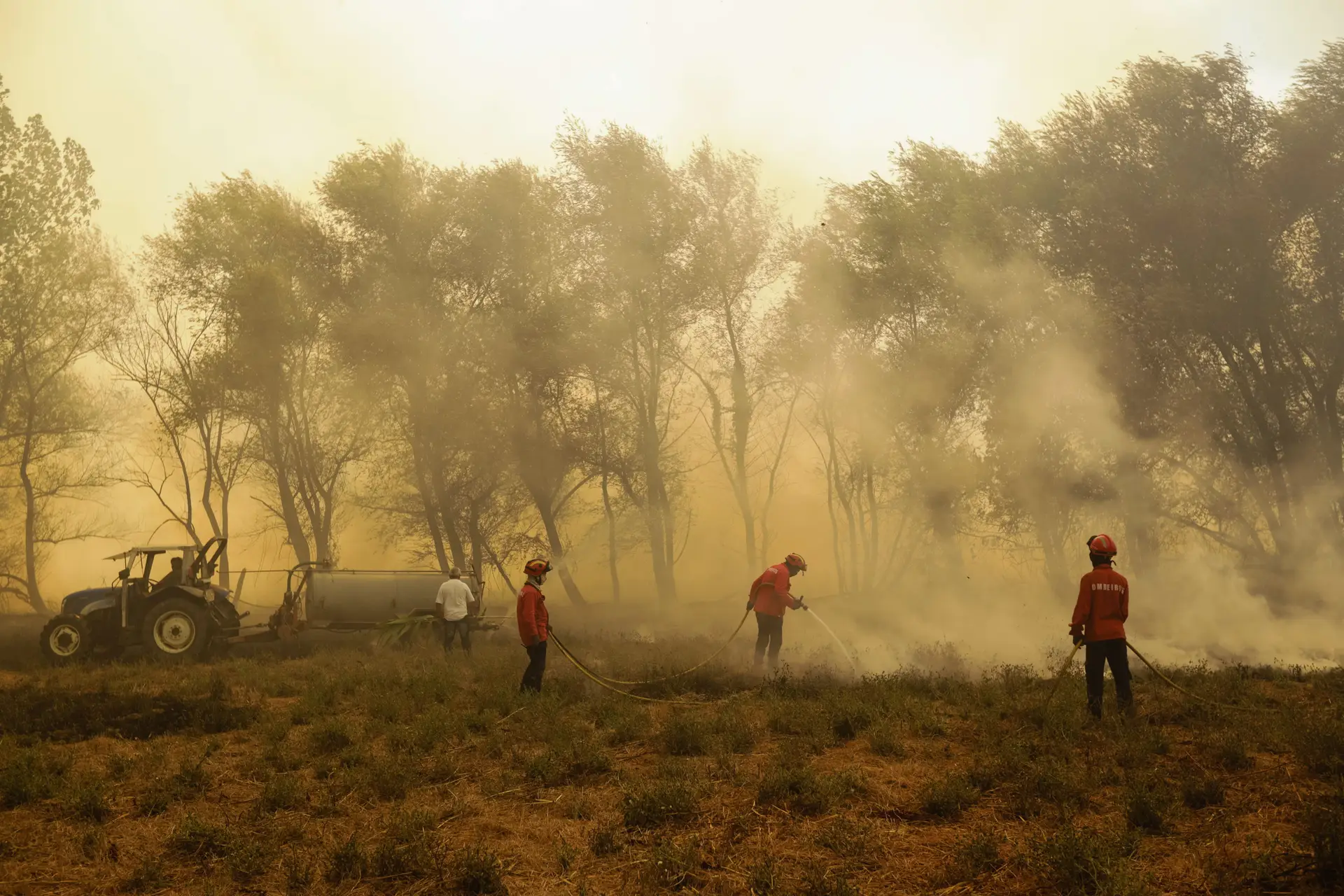 Quase três mil bombeiros no combate às chamas