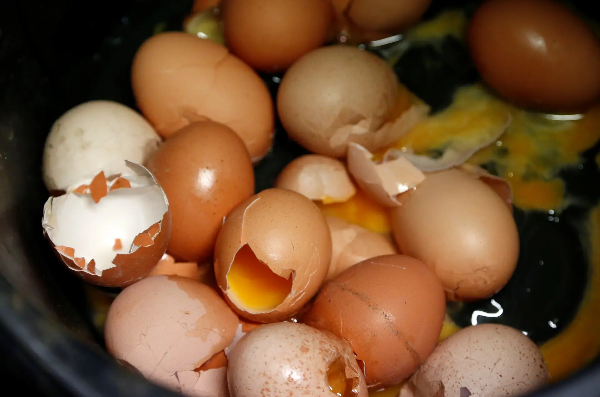 Reino Unido importou quase 700 mil ovos contaminados com fipronil