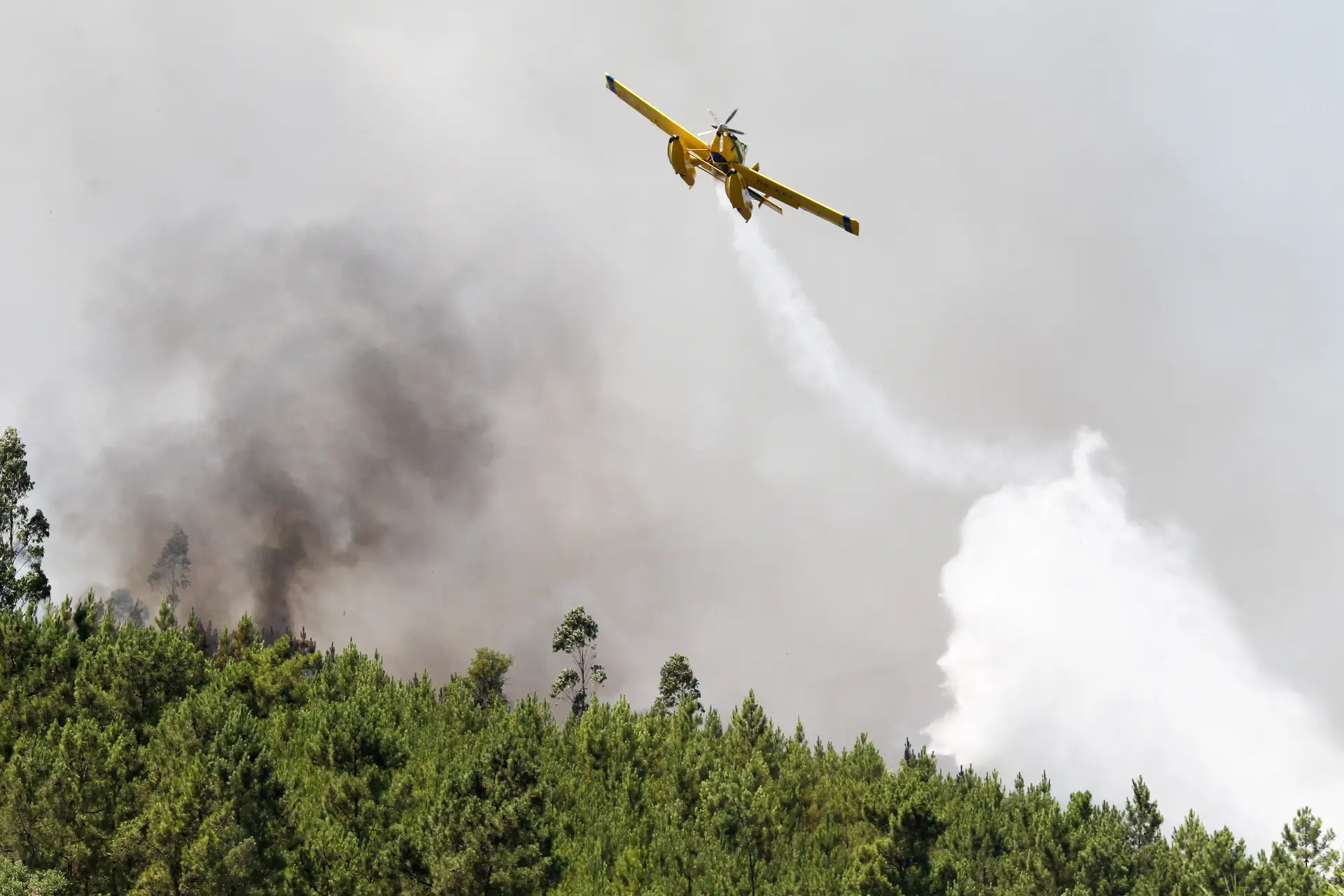 Acidente com avião que combatia chamas em Abrantes, sem feridos