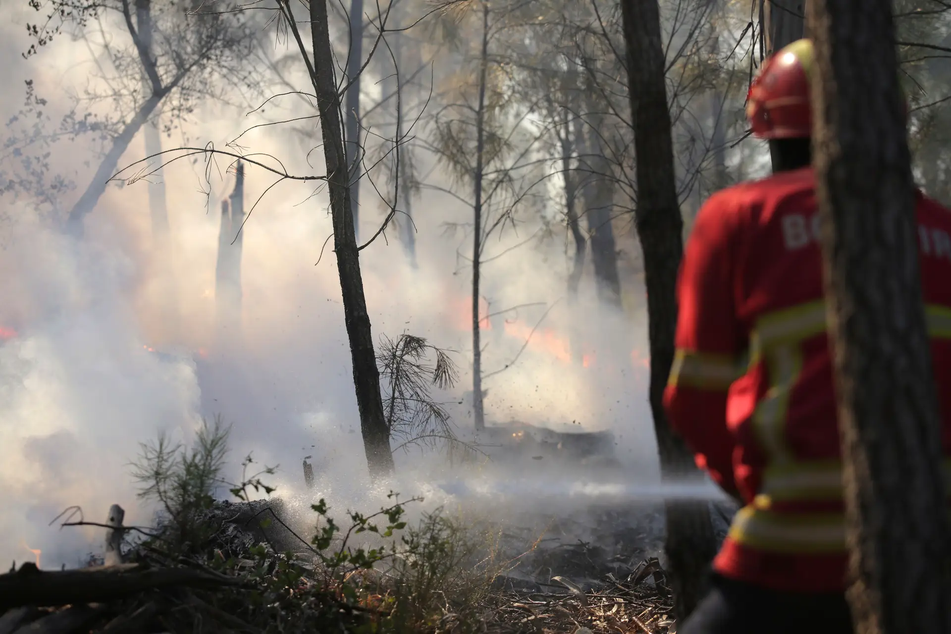 Cinco distritos em alerta máximo de incêndio