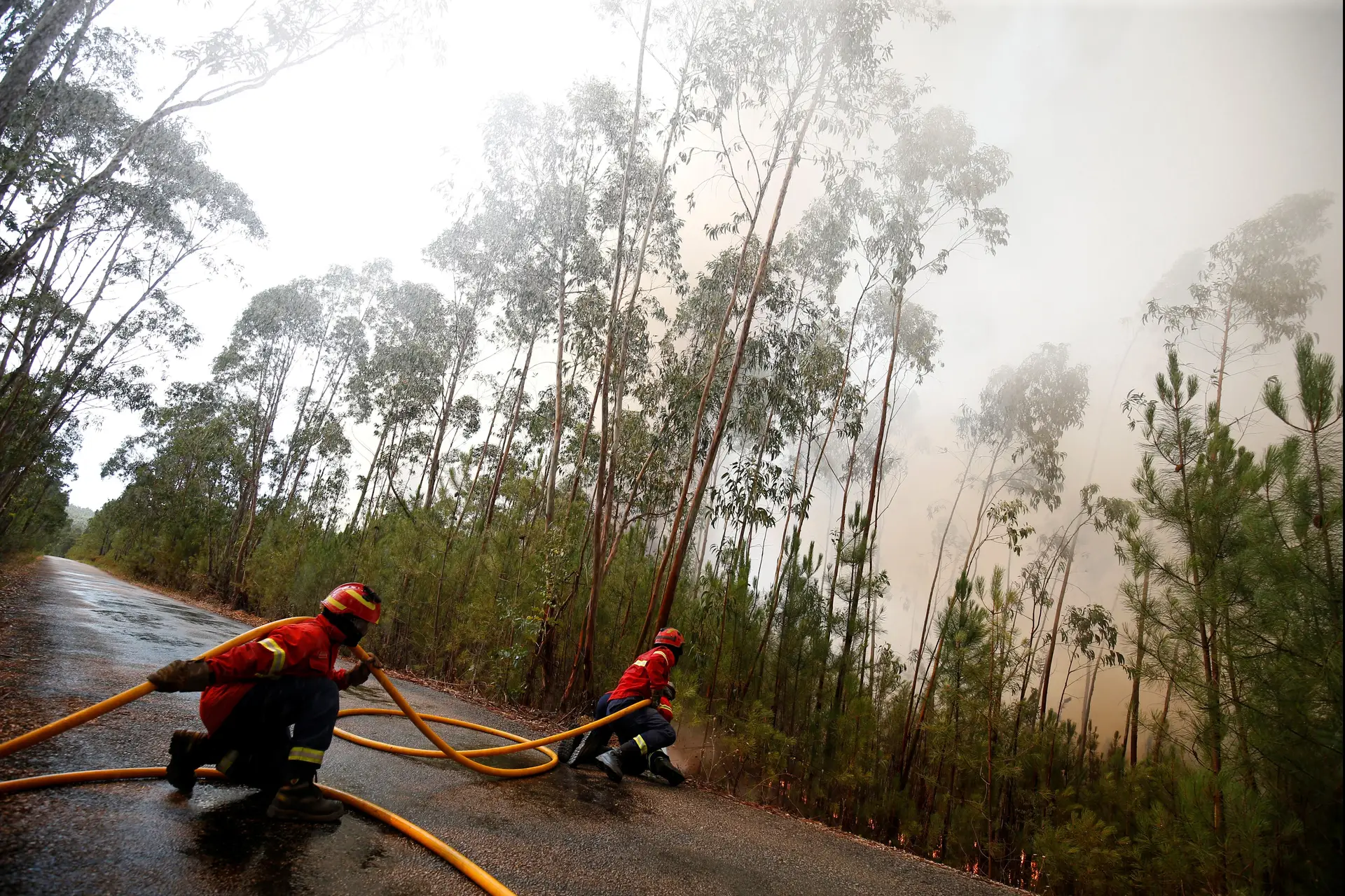 Combate aos incêndios mobiliza mais de 1.600 bombeiros