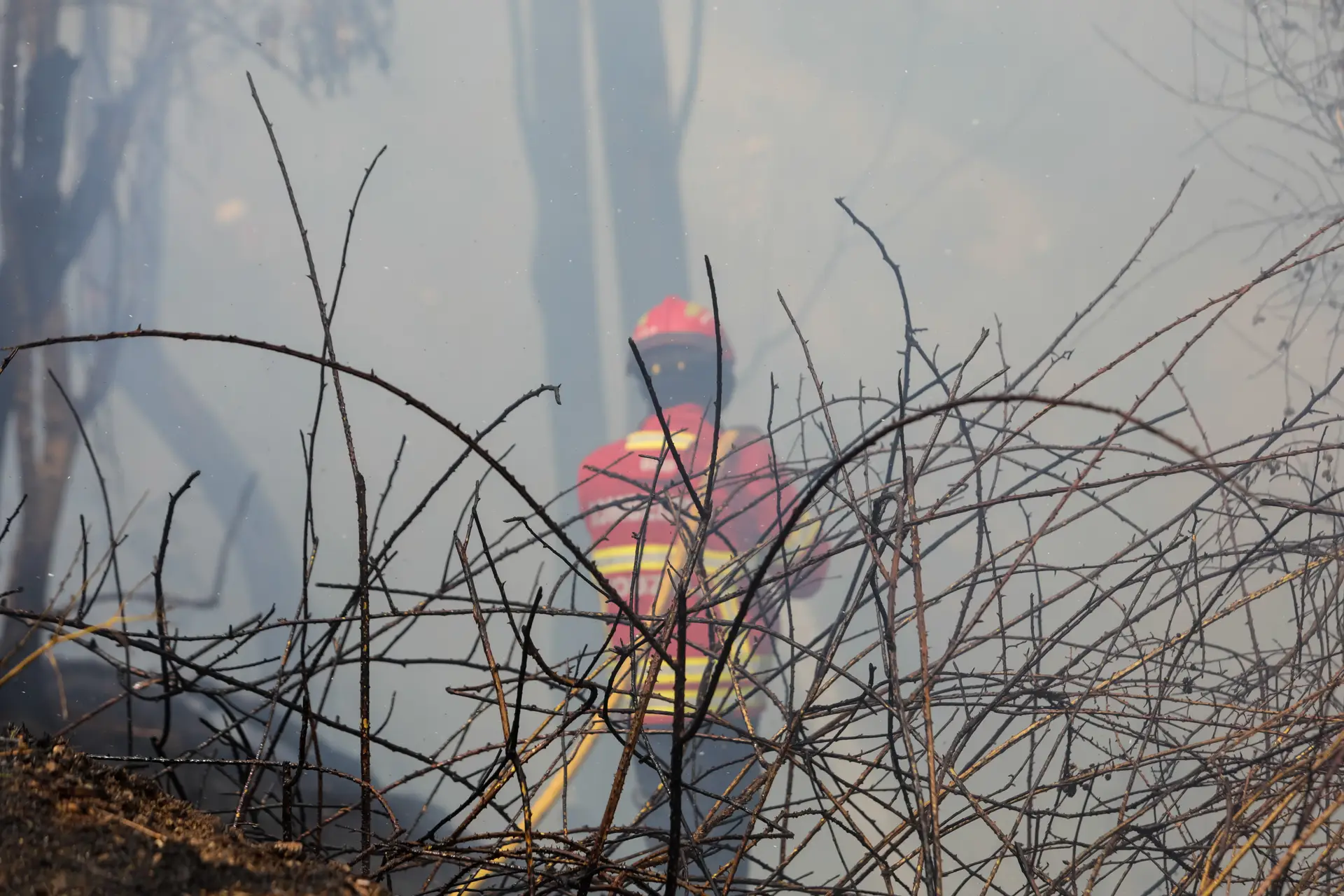Mais de 2 mil bombeiros no combate às chamas