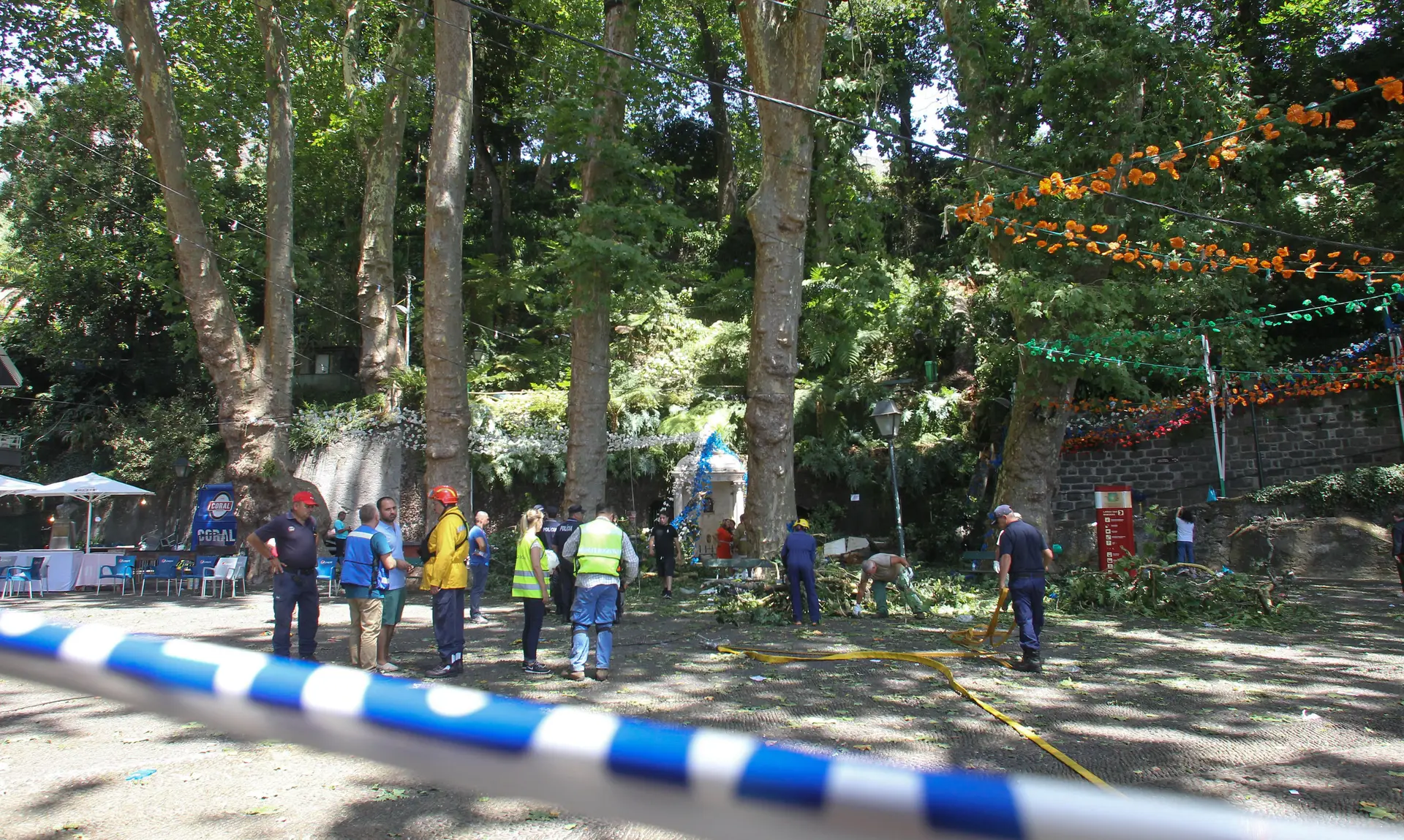 Em 2017, morreram 13 pessoas devido à queda de uma árvore no Largo da Fonte, no Monte.