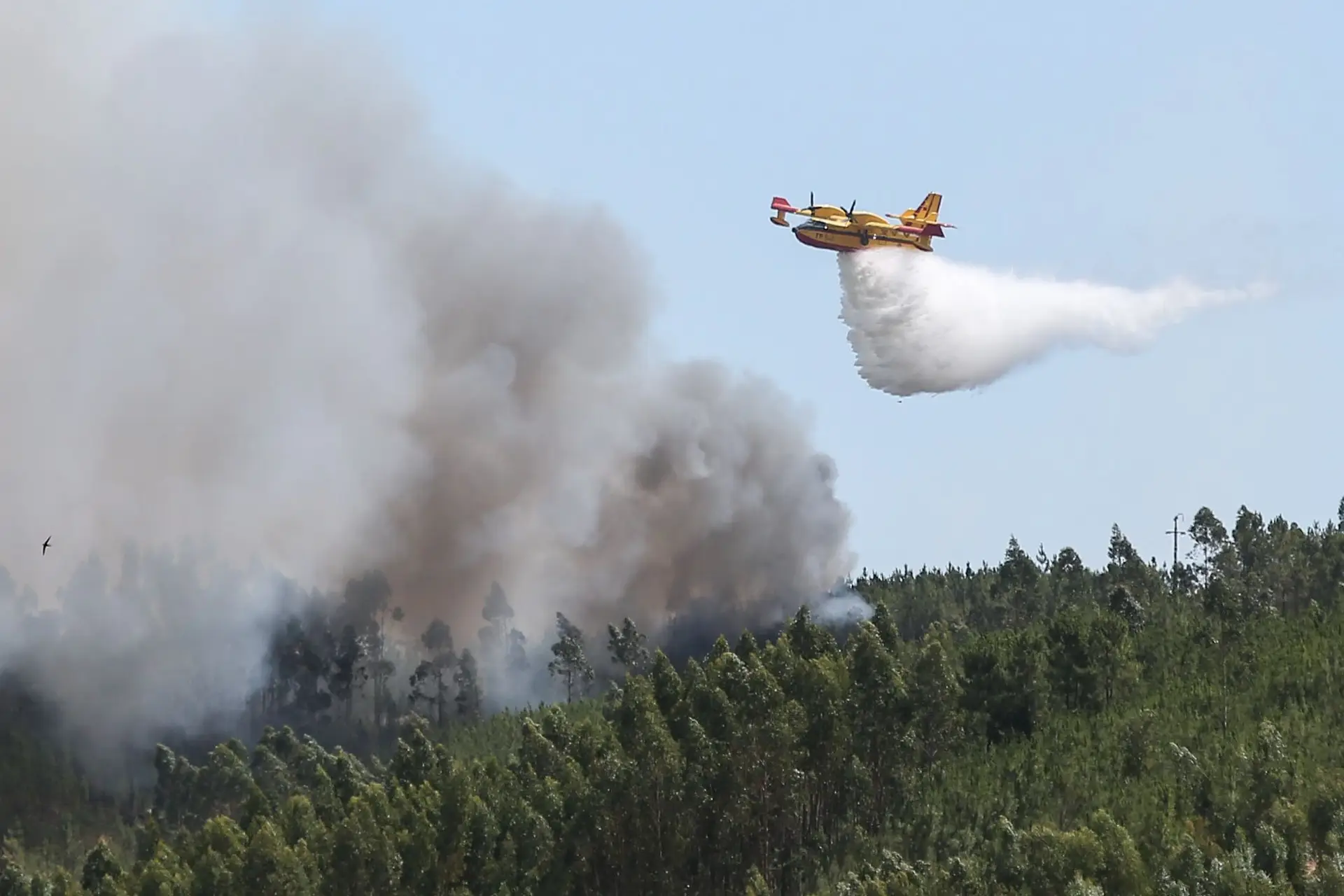 Governo ainda só tem 10 das 50 aeronaves de combate aos fogos