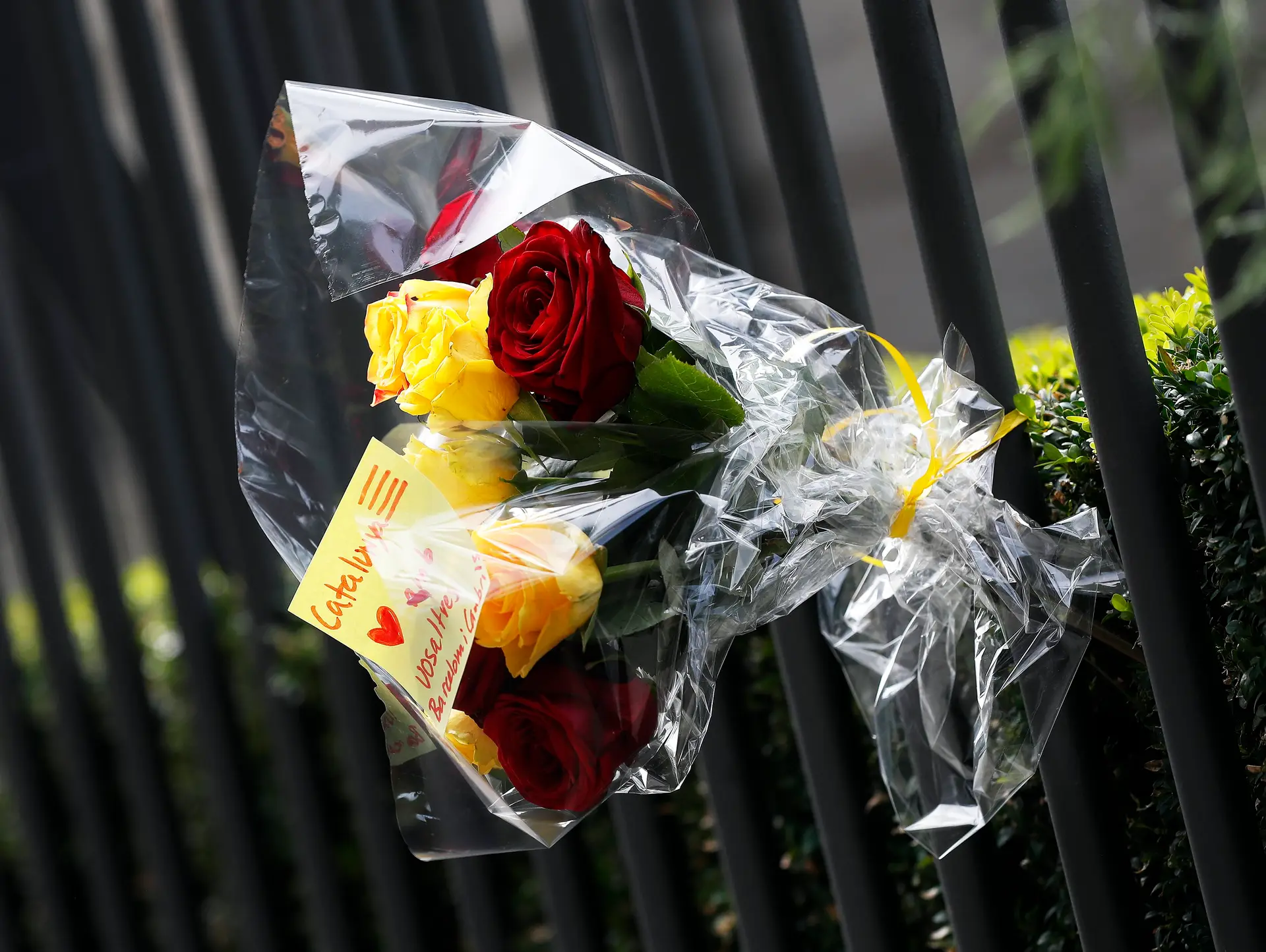 Vítima portuguesa entre os mortos em Barcelona, há mais uma portuguesa desaparecida