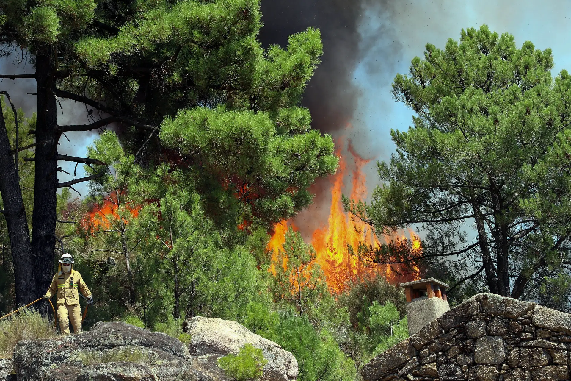 Número de detidos por suspeita de fogo posto quase duplicou face a 2016