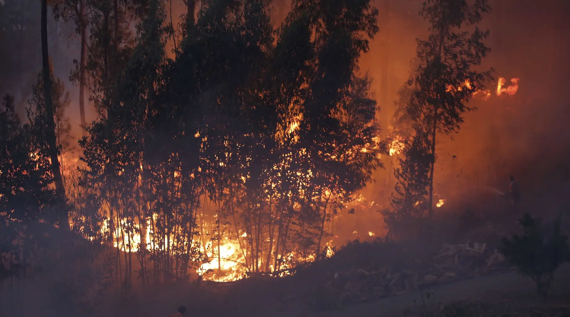 Fogo obriga a evacuar aldeia em Miranda do Douro