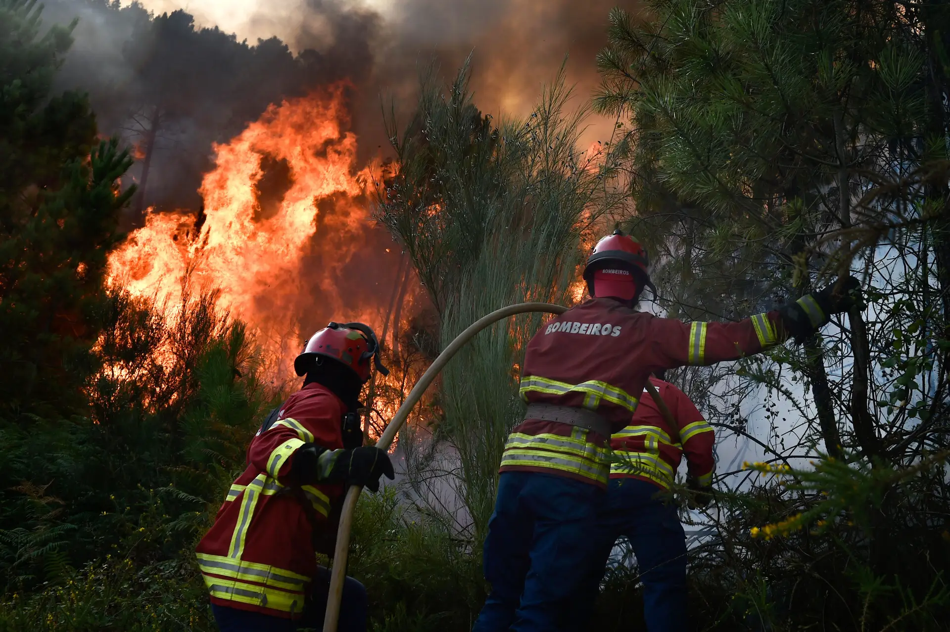 PJ detém presumível incendiário em S. Pedro do Sul