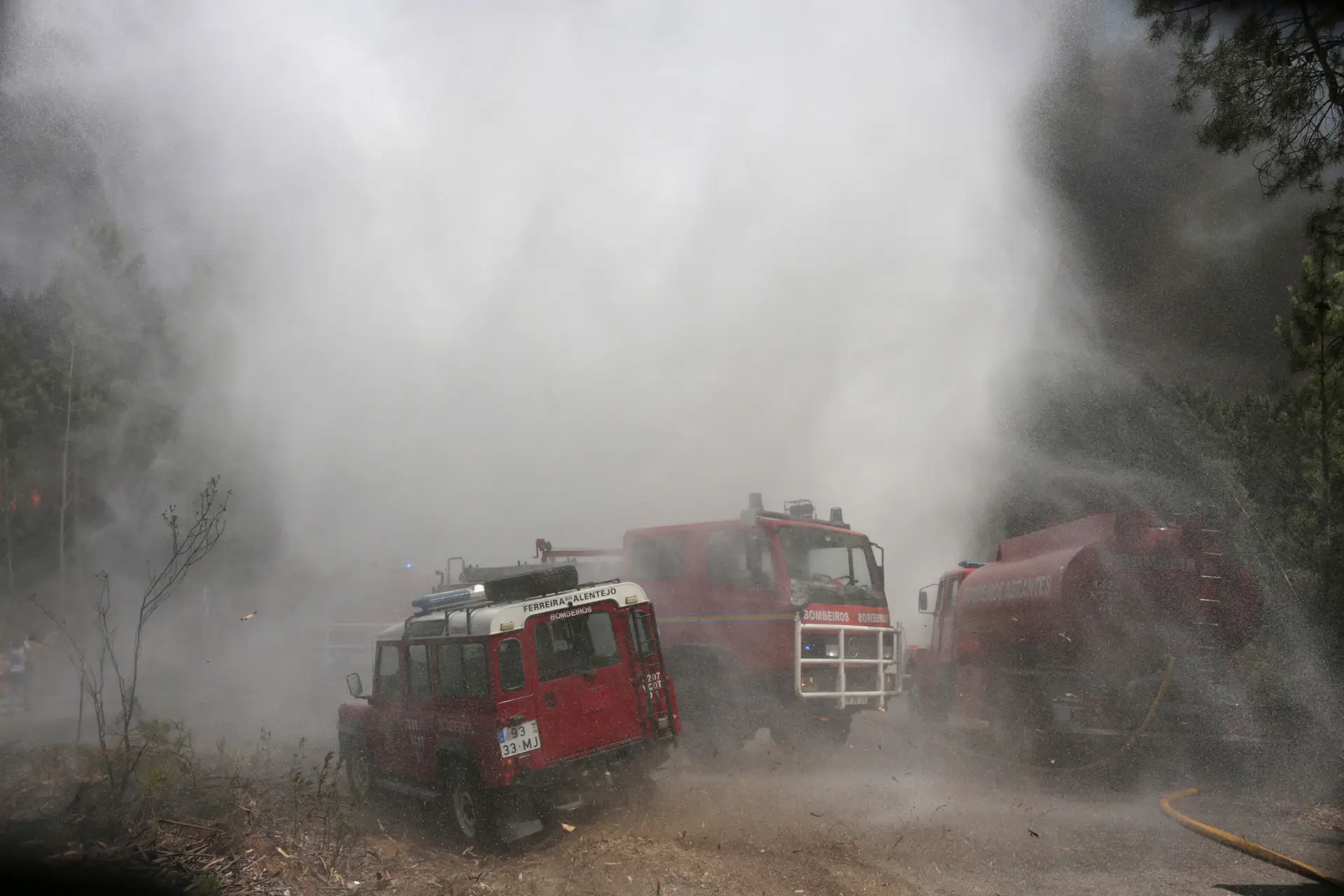 Risco máximo de incêndio em oito concelhos do interior Centro e Algarve