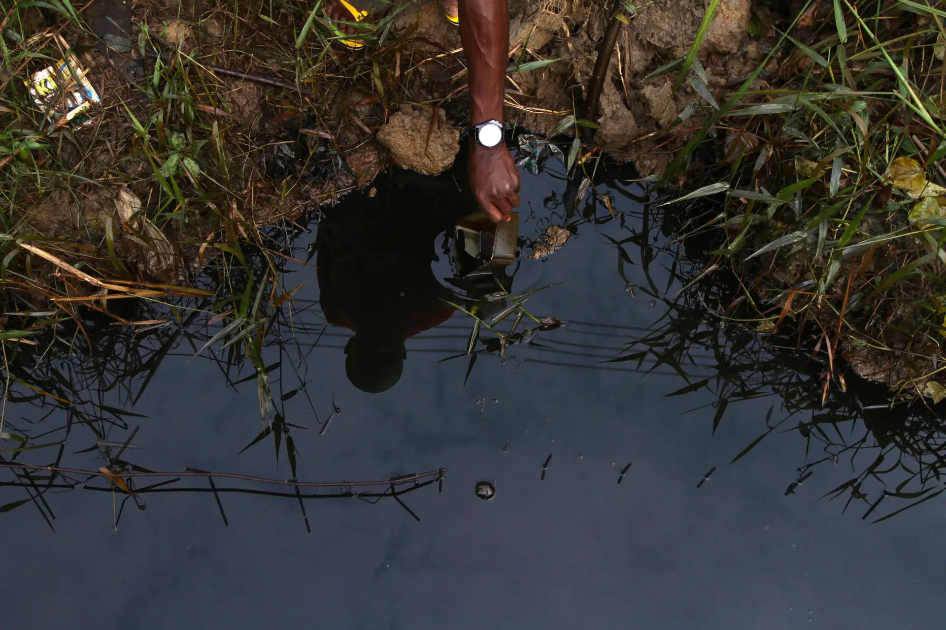 Aquecimento global está a colocar em risco os ecossistemas de águas subterrâneas