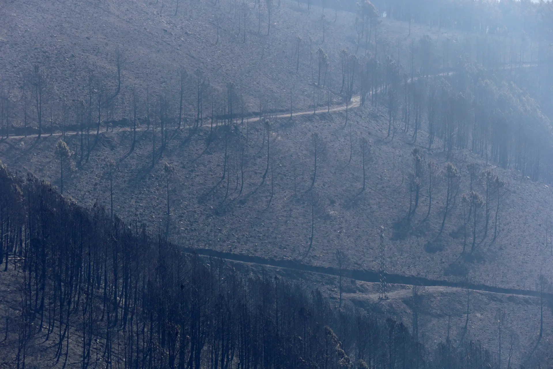 Mais de 213 mil hectares ardidos este ano, o pior da última década