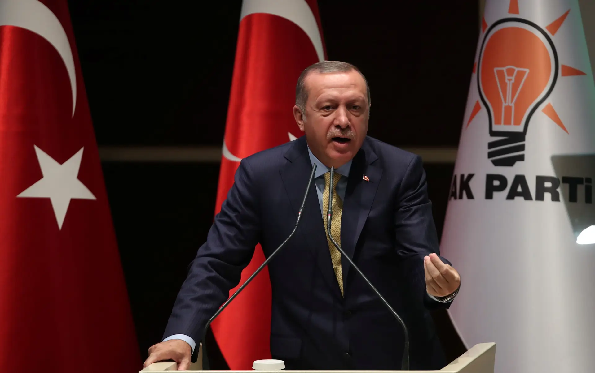 Erdogan pede a alemães de origem turca que não votem nos "inimigos da Turquia"
