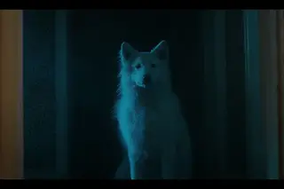 "Thursday Night" ganha prémio para melhor curta de terror portuguesa no Motelx