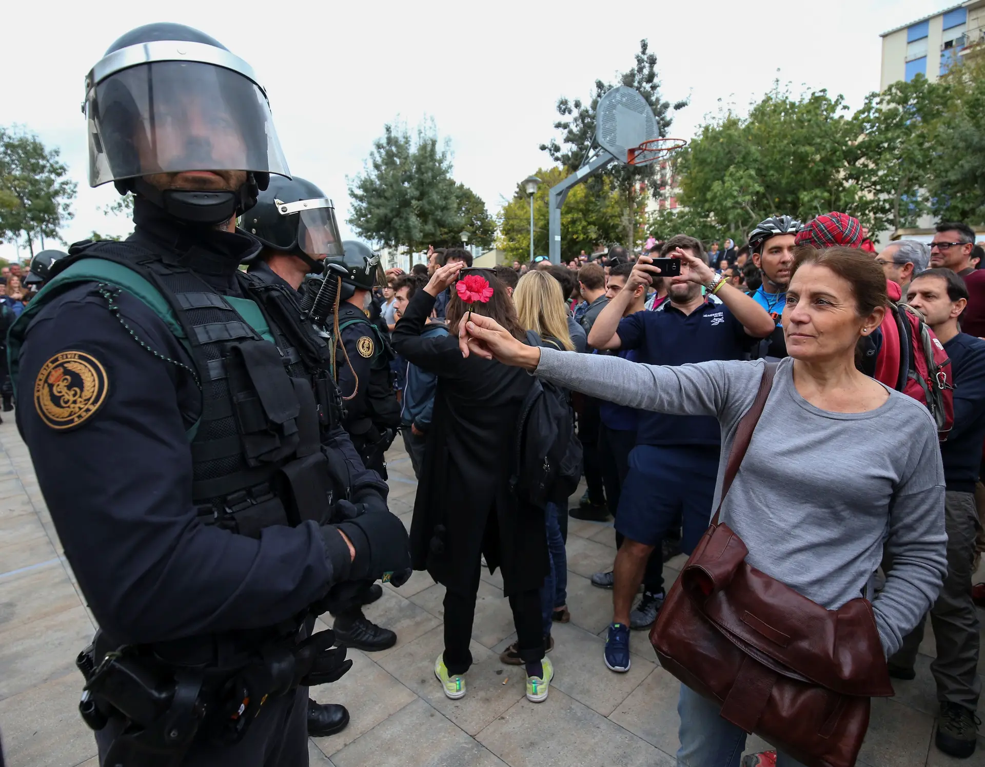 Cravos na Catalunha a lembrar o 25 de Abril