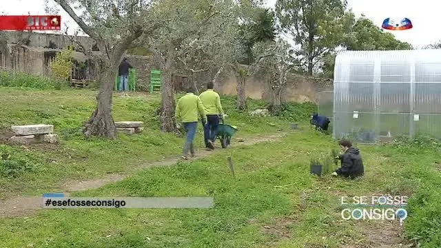 Pessoas com perturbações do espectro do autismo devem sair de casa