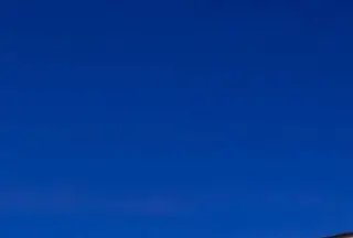 O Museu de Arte, Arquitetura e Tecnologia faz esta 5ª feira um ano