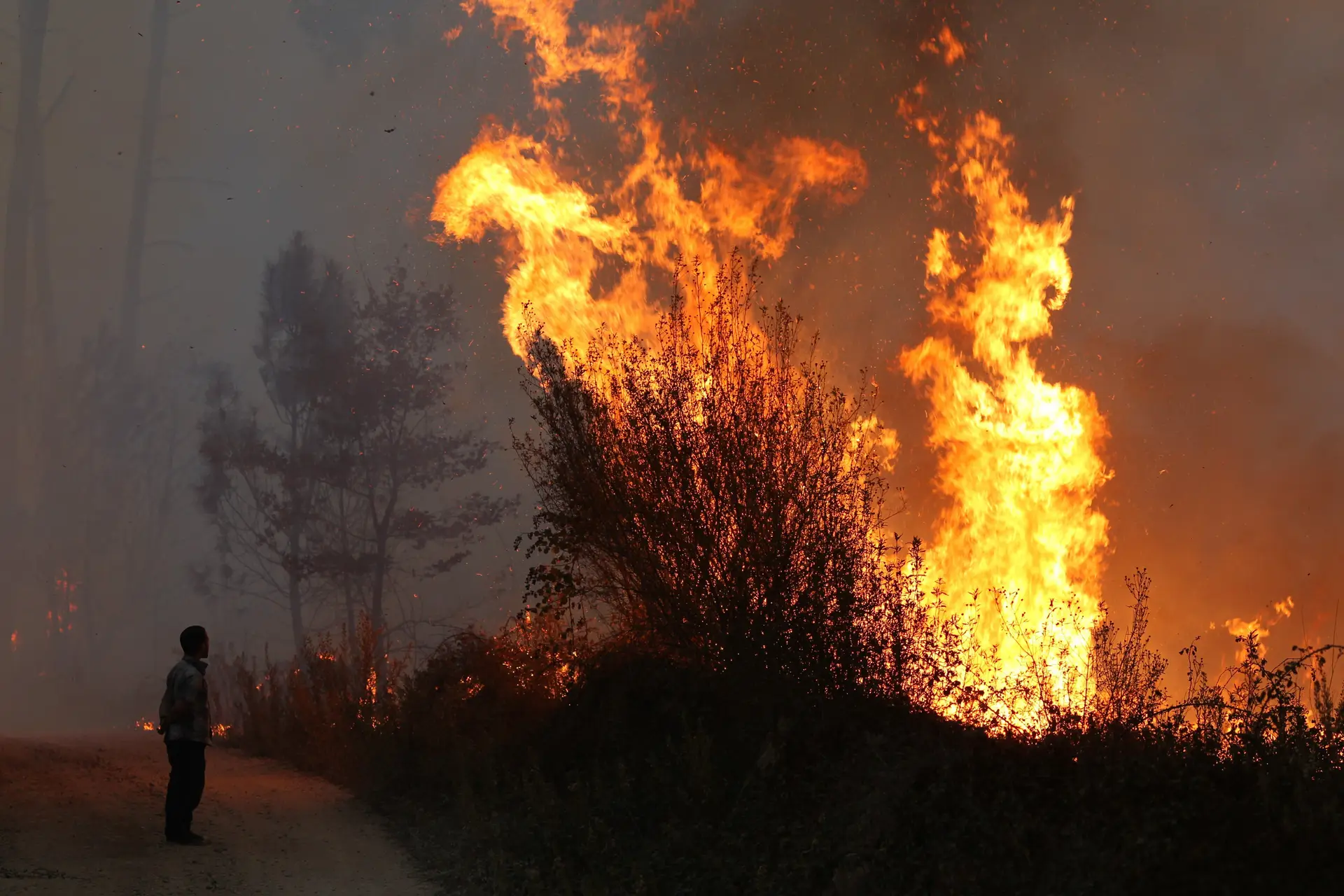 Chamas lavram com intensidade em Pombal