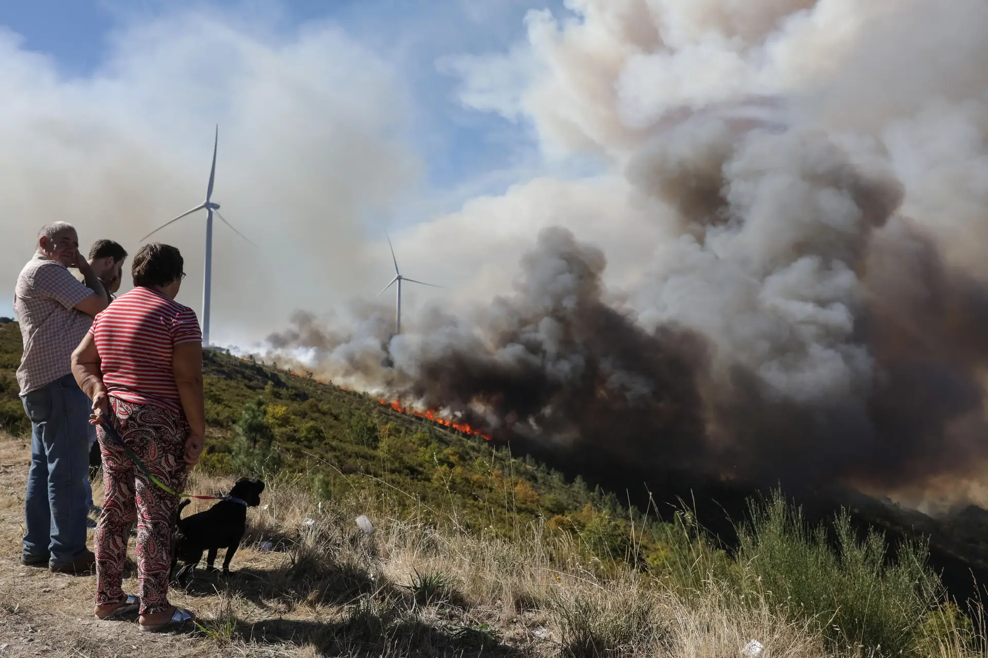 Secretário de Estado diz que fogos têm "origem criminosa"