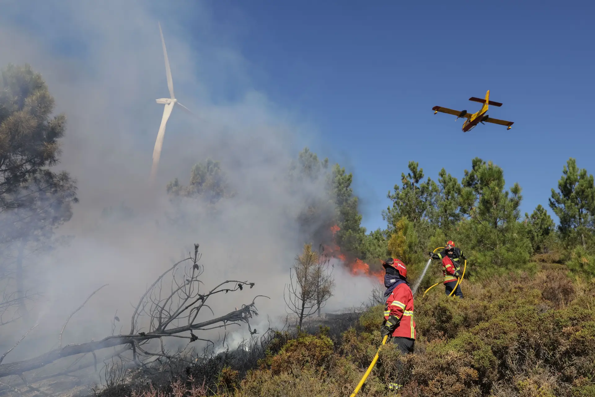 Fogo no concelho de São Pedro do Sul em fase de resolução