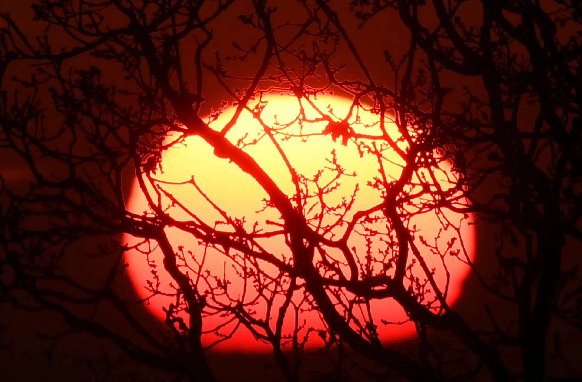 Altas temperaturas são aviso, tendência é para pior, diz especialista