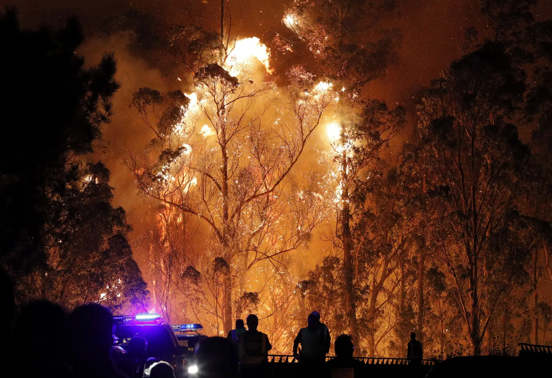 Espanha pede que ninguém atue por sua conta nos incêndios