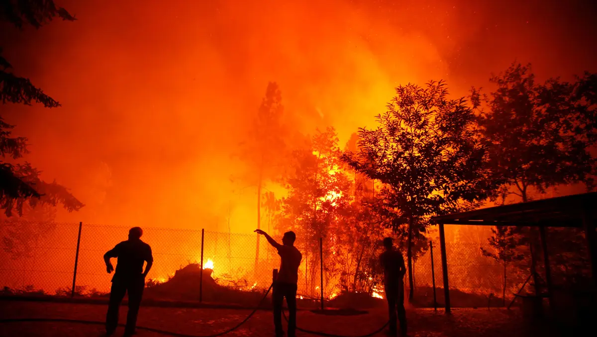 2015: Um bombeiro morreu, em agosto, na sequência do despiste de um autotanque mobilizado para o combate a um incêndio, em Cascais (distrito de Lisboa). Também em agosto, mas no Sabugal, Guarda, morreu um homem com cerca de 70 anos, que estava num canavial na aldeia de Sobreira e não conseguiu fugir às chamas.