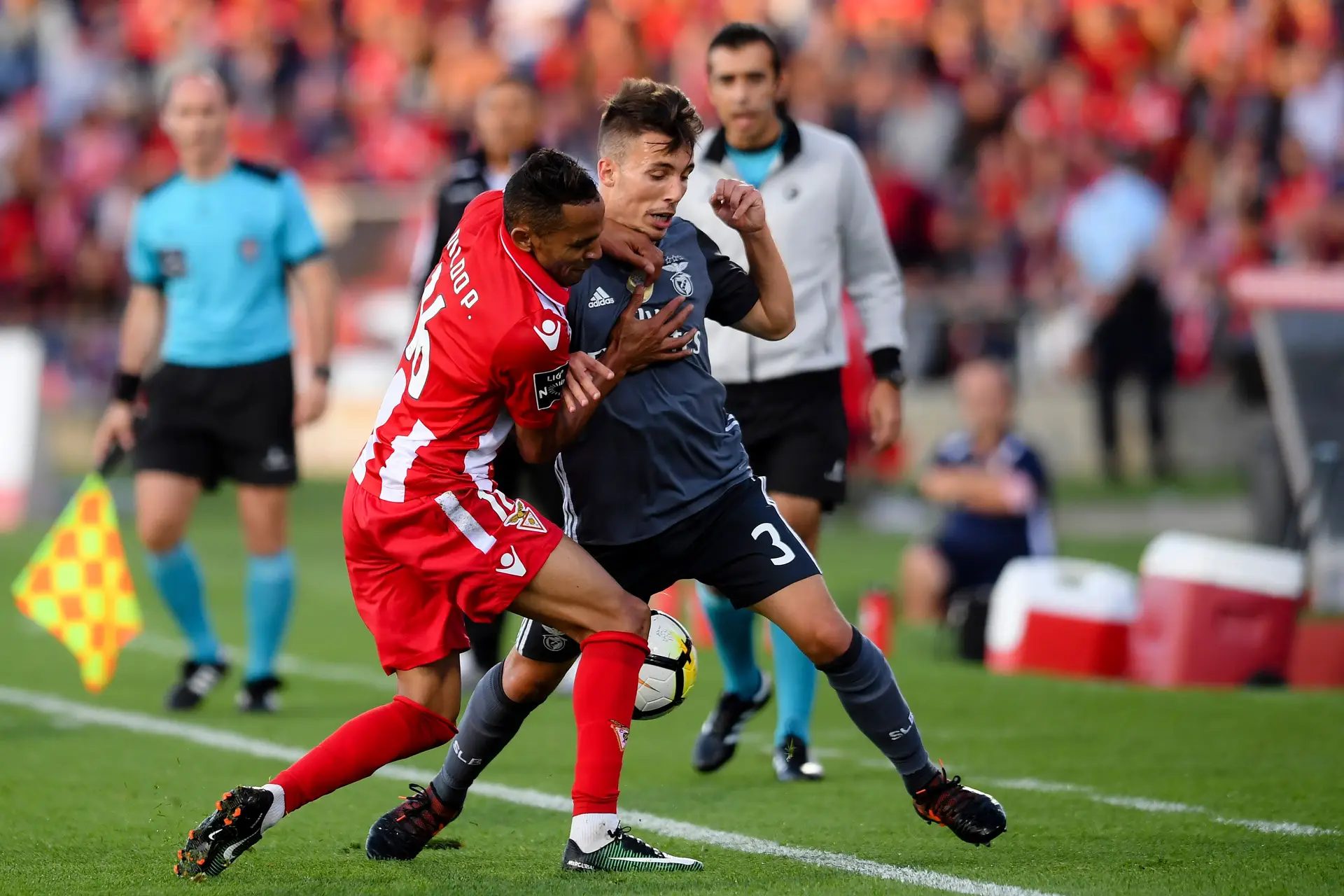 Conselho de Disciplina exclui processo à falha do videoárbitro no Aves-Benfica