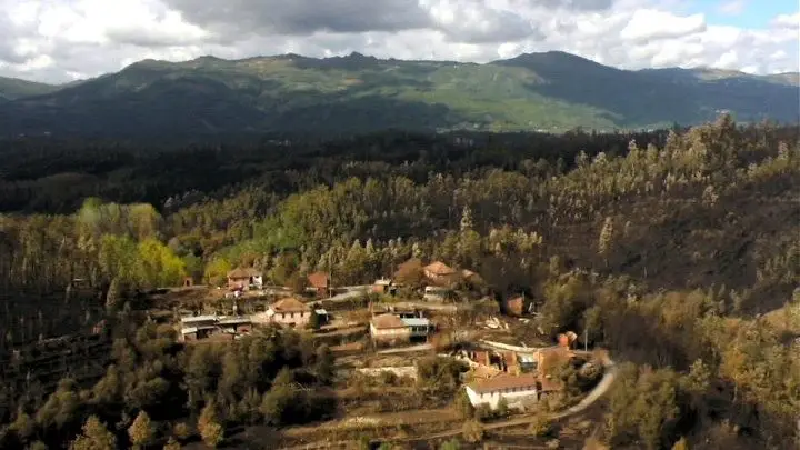 Segurança Social vai apoiar agricultores até 1.053 euros