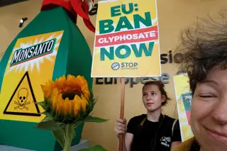 Comité de peritos da UE adia voto sobre glifosato