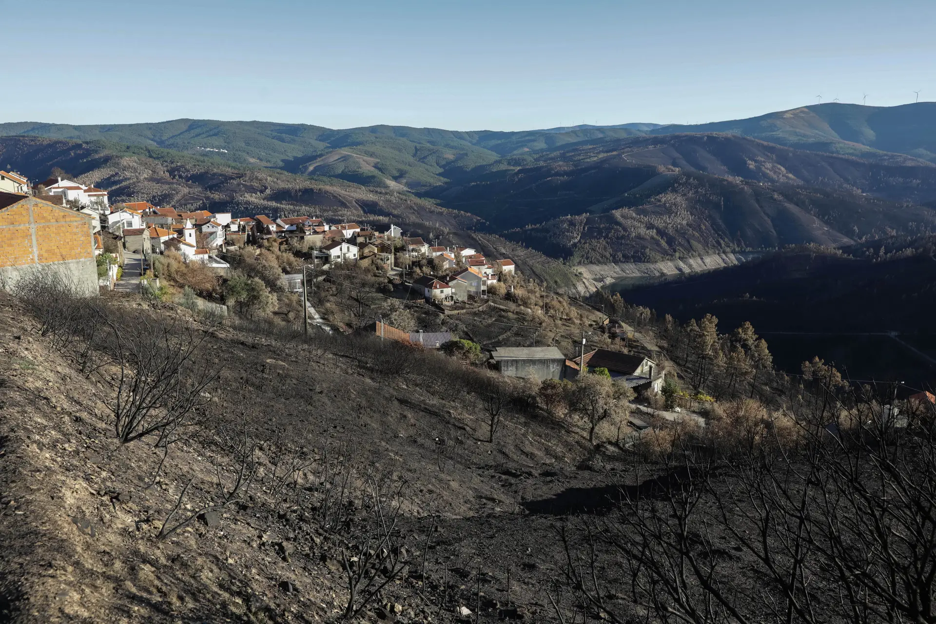 Pampilhosa da Serra precisa de materiais de construção, árvores e sementes