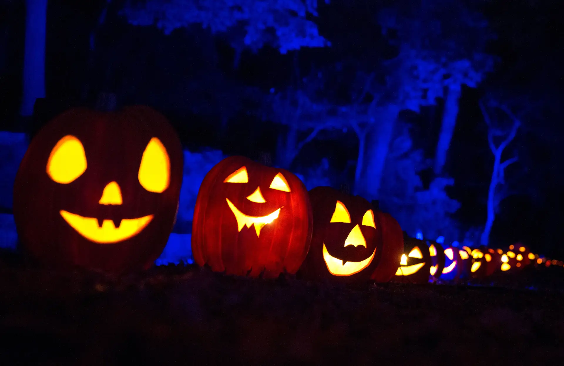 COMEÇOU O HALLOWEEN NO ESTADOS UNIDOS