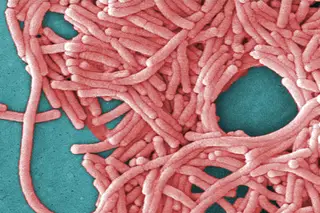 Água não deverá ser a causa do surto de legionella 