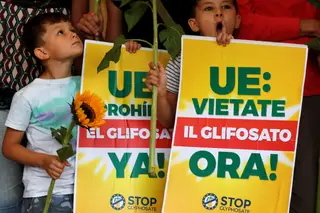 Bruxelas propõe hoje prolongamento do uso do glifosato por mais 5 anos