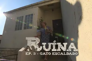 A Ruína: Gato Escaldado