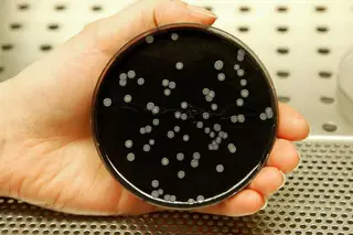 Legionella. Autoridades de saúde encerraram torres de refrigeração de duas empresas