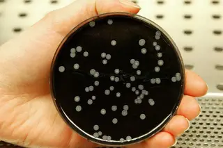 Legionella: sobe para 9 número de mortos em surto no Grande Porto