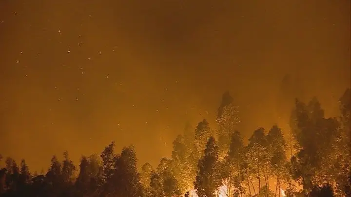 Equipa de Xavier Viegas vai fazer relatório sobre fogos de outubro, mas falta aval do Governo