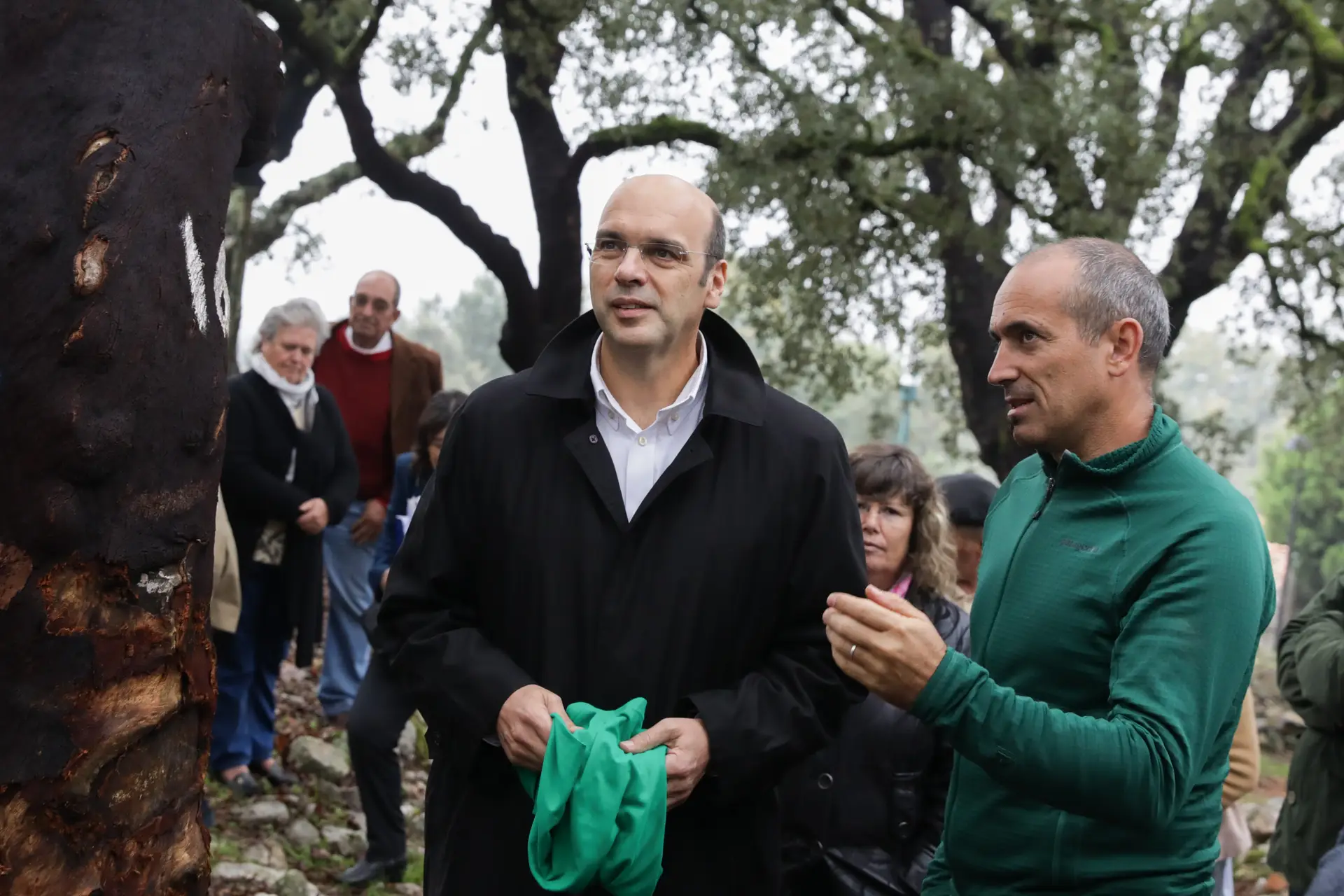 Reflorestação eleita como prioridade nacional nos próximos anos