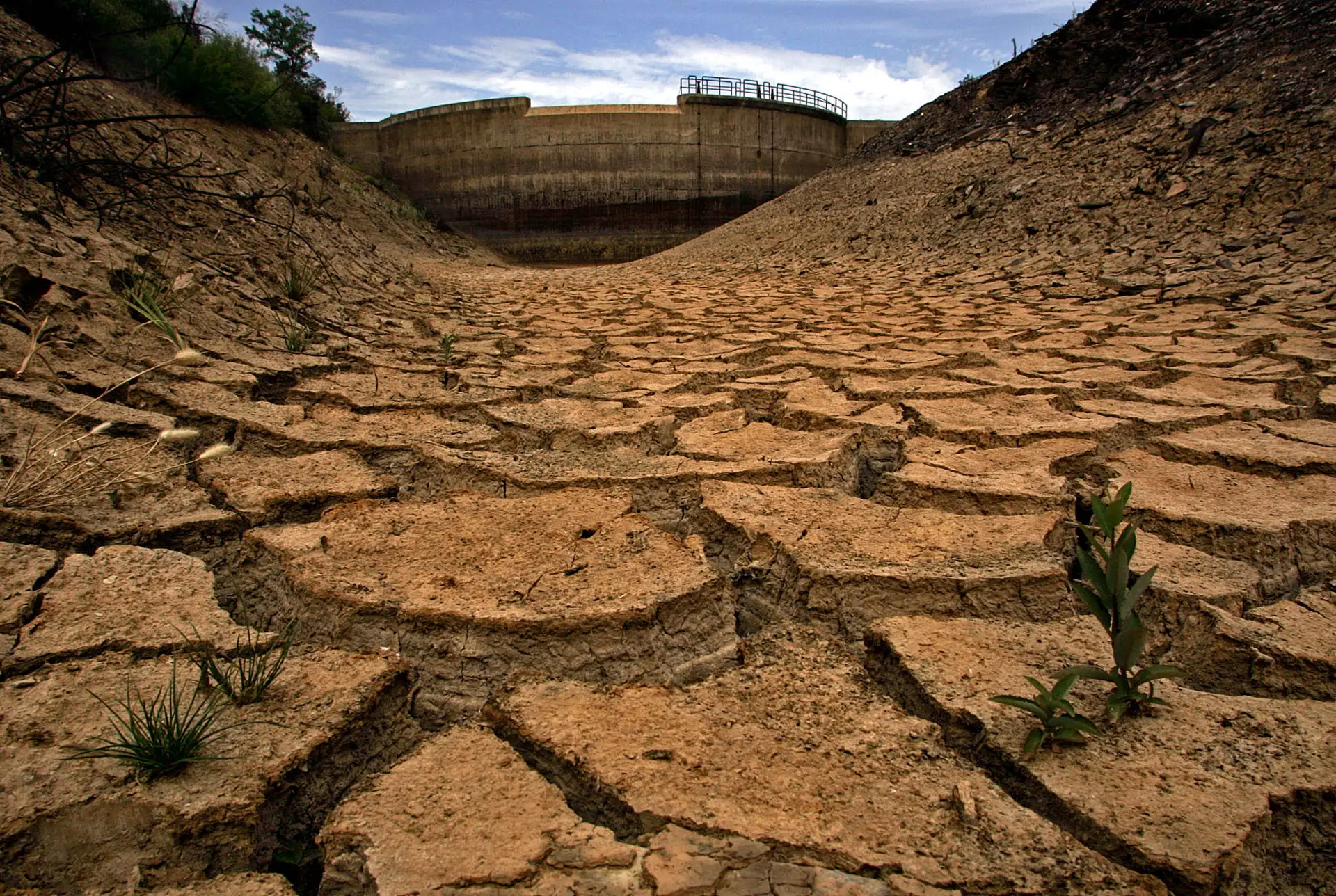 Alterações climáticas podem tornar Portugal mais desértico em 50 anos